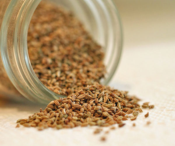 Ajwain Oil