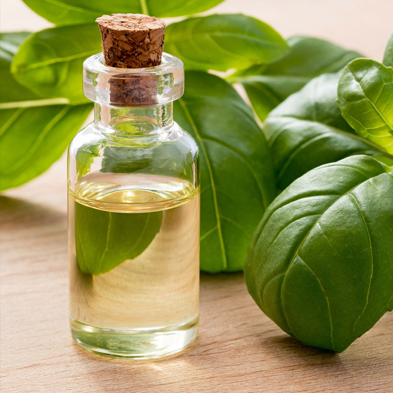 Basil Oil