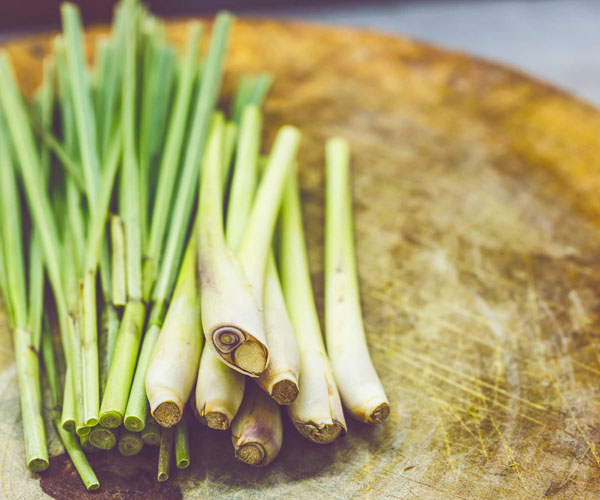 Lemon Grass Oil